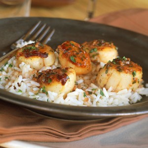 portuguese-scallops-ck-223413-x