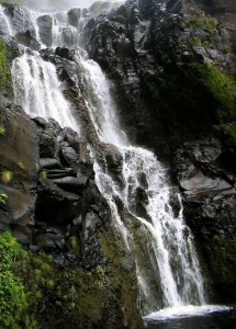 Flores.Cascata