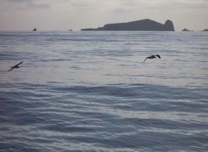 Graciosa Acores.AGO.07 171